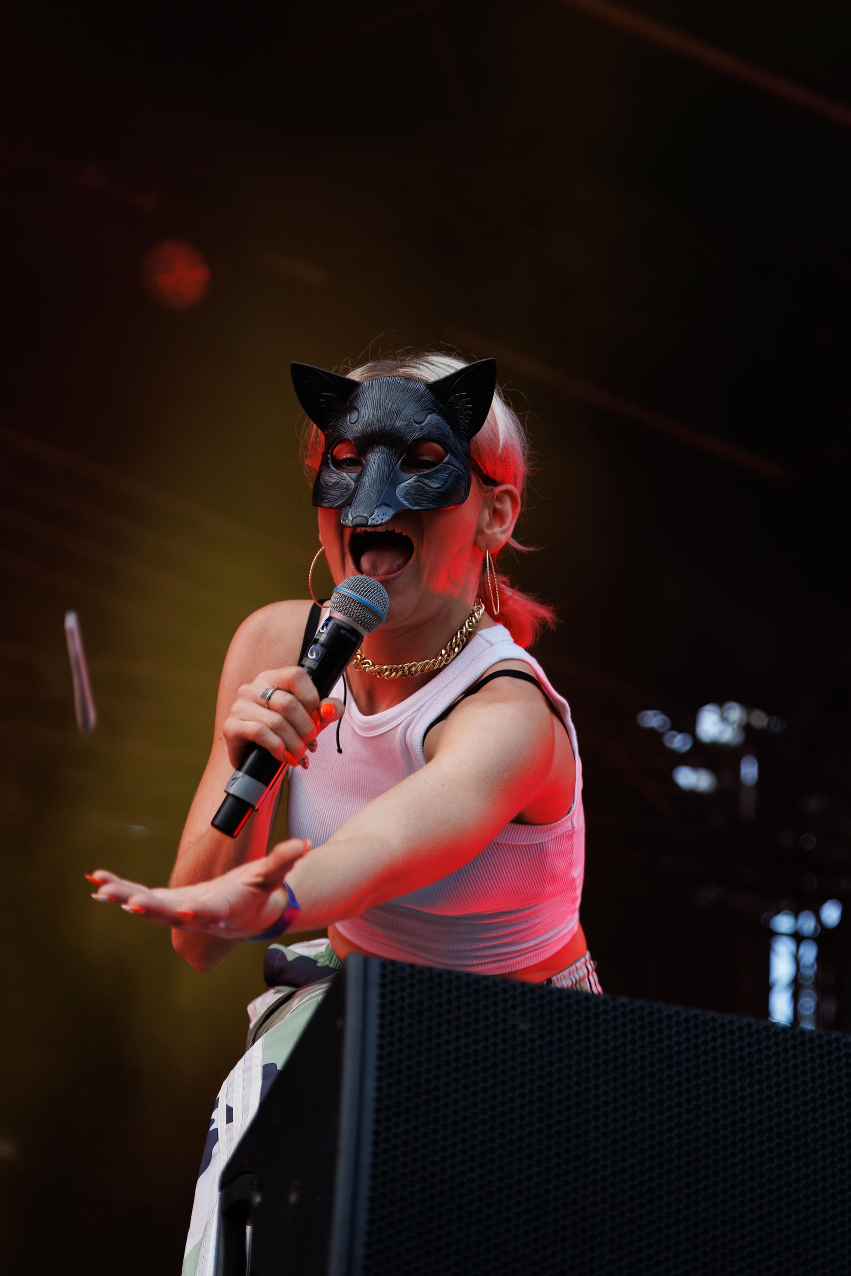 Antifuchs @ Wutzrock Festival 2024